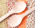 Various types of legumes Royalty Free Stock Photo