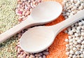 Various types of legumes Royalty Free Stock Photo