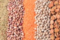 Various types of legumes Royalty Free Stock Photo