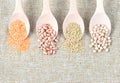 Various types of legumes Royalty Free Stock Photo