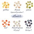 Various types of lentils