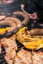 Various types of meat, chicken, sausages, blood sausage, lamb on a crbon grill in the garden