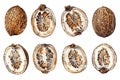 Various types of nuts on a plain white background. Ideal for food and nutrition concepts Royalty Free Stock Photo