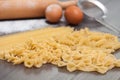 Various types or raw Italian pasta on the wooden rustic background and ingredients for pasta. Royalty Free Stock Photo