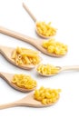 Various types of raw italian pasta  in wooden spoons Royalty Free Stock Photo