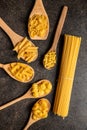 Various types of raw italian pasta in wooden spoons Royalty Free Stock Photo