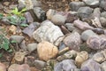 Various Types of Rocks laying on river bed in India