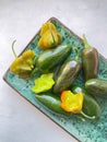 Various types and shapes of green and yellow chilli pepper on the green plate Royalty Free Stock Photo