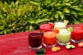 Various types of vegetable and fruit smoothies made of watermelon, cucumber, tomato, melon, carrot and blackberry, horizontal