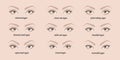 Various types of woman eyes.