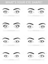 Various types of woman eyes, vector set Royalty Free Stock Photo