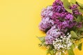 Various varieties of lilacs on the right side of the table with copy space on a yellow background
