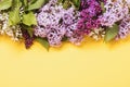 Various varieties of lilacs at the top side of the table with copy space