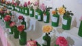 Various varieties of roses in a rose show in Indore India