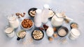 Various vegan plant based milk and ingredients