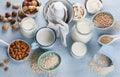 Various vegan plant based milk and ingredients