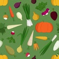 Various vegetables illustration