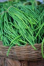 Various vegetables at vegetable market. India Royalty Free Stock Photo