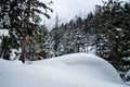 Glacier National Park Snowing in Winter Royalty Free Stock Photo