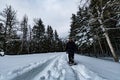 Glacier National Park Snowing in Winter Royalty Free Stock Photo