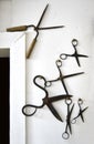 Various vintage scissors pinned to the wall Royalty Free Stock Photo