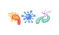 Various Virus, Microbe and Germs of Different Color and Shape Vector Set