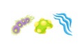 Various Virus, Microbe and Germs of Different Color and Shape Vector Set