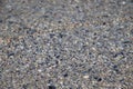 Background sea sand and shells Royalty Free Stock Photo