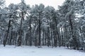 various winter landscape photos in the mountains Royalty Free Stock Photo