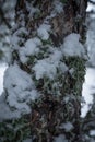 various winter landscape photos in the mountains Royalty Free Stock Photo