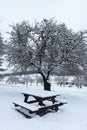 various winter landscape photos in the mountains Royalty Free Stock Photo