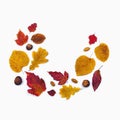 Various yellow autumn leaves on white background. Autumn still life.