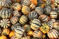 Various yellow and green pumpkins