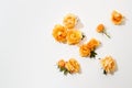 Various yellow roses scattered on a white background, overhead view