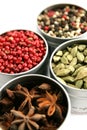 Varitey of spices Royalty Free Stock Photo