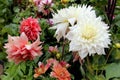 Varity of Garden Flowers blooming
