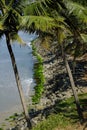 Varkala beach, Kerala, India Royalty Free Stock Photo