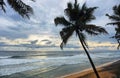 Varkala tropical beach at sunset, Kerala, India