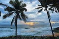 Varkala tropical beach at sunset, Kerala, India