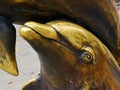 Dolphin head close up, a fragment of a yellow brass outdoors statue on the street