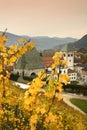 Novacella Monastery with vineyards during autumn season. Located in Varna, Bolzano, Trentino Alto-Adige, Italy