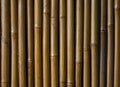 Varnished bamboo background