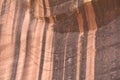 Varnished Sandstone in the Utah Desert