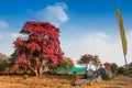 Varsey Rhododendron Sanctuary or Barsey Rhododendron Sanctuary, in the Singalila Range in western Sikkim, India. The camp with