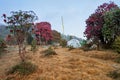 Varsey Rhododendron Sanctuary or Barsey Rhododendron Sanctuary, in the Singalila Range in western Sikkim, India. The camp with