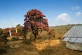 Varsey Rhododendron Sanctuary or Barsey Rhododendron Sanctuary, in the Singalila Range in western Sikkim, India. The camp with