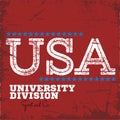 Varsity college university division team sport label