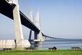 Vasco da Gama Bridge/Portugal Royalty Free Stock Photo