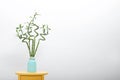 Vase with bamboo stems on yellow table against wall, space for text Royalty Free Stock Photo