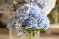 Vase with beautiful blue hydrangea flowers on a wooden table. Royalty Free Stock Photo